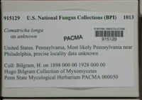 Image Associated With the Occurence